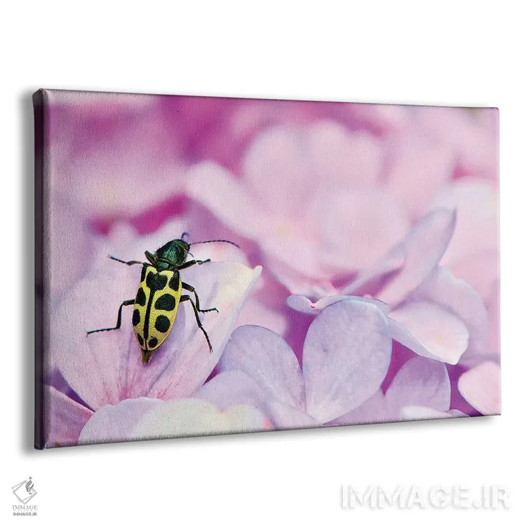 تابلو دکوراتیو حشره اثر گلاوکو منهالی - نمای پرسپکتیو محصول