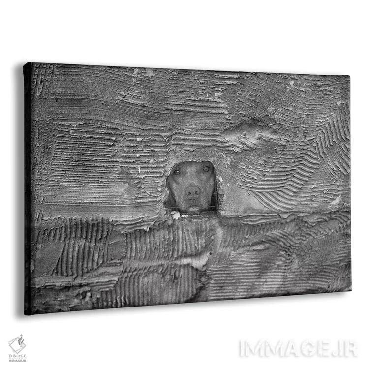 تابلو دکوراتیو سگ اثر گلاوکو منهالی - نمای پرسپکتیو محصول
