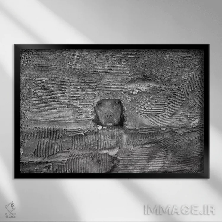 تابلو دکوراتیو سگ اثر گلاوکو منهالی - نمای قابدار مشکی