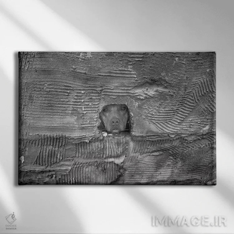 تابلو دکوراتیو سگ اثر گلاوکو منهالی - نمای روبهرو روی دیوار
