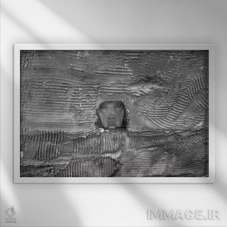 تابلو دکوراتیو سگ اثر گلاوکو منهالی - نمای قابدار سفید