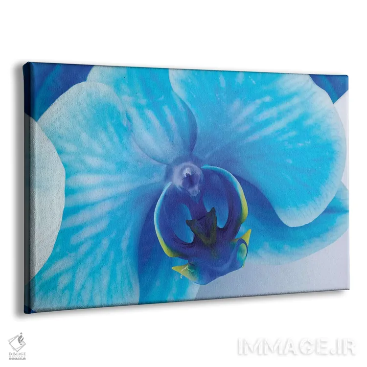 تابلو دکوراتیو ارکیده آبی I اثر گلاوکو منهالی - نمای پرسپکتیو محصول