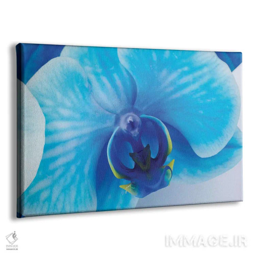 تابلو دکوراتیو ارکیده آبی I اثر گلاوکو منهالی - نمای پرسپکتیو محصول