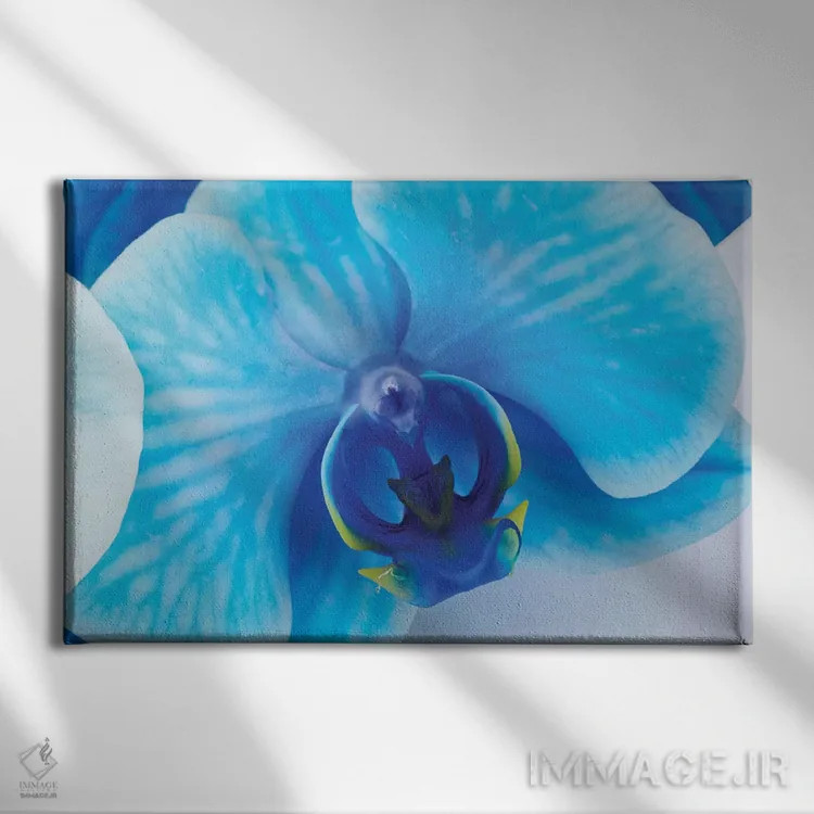 تابلو دکوراتیو ارکیده آبی I اثر گلاوکو منهالی - نمای روبهرو روی دیوار