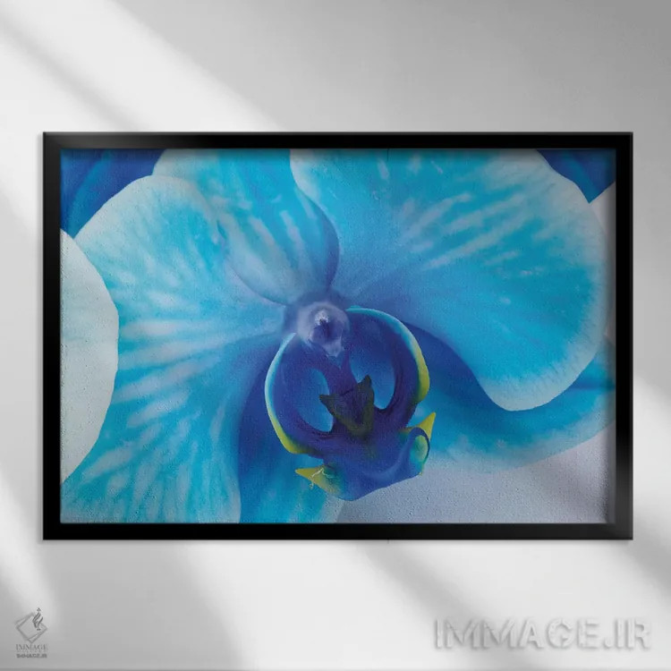 تابلو دکوراتیو ارکیده آبی I اثر گلاوکو منهالی - نمای قابدار مشکی