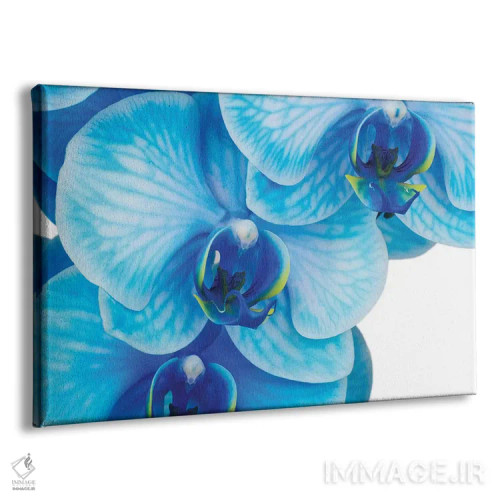 تابلو دکوراتیو ارکیده آبی II اثر گلاوکو منهالی - نمای پرسپکتیو محصول