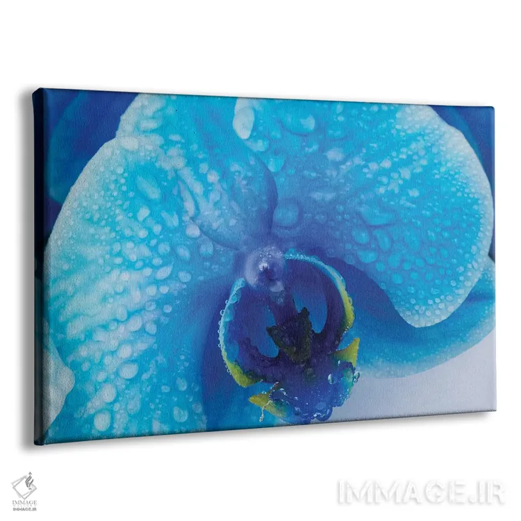 تابلو دکوراتیو ارکیده آبی III اثر گلاوکو منهالی - نمای پرسپکتیو محصول