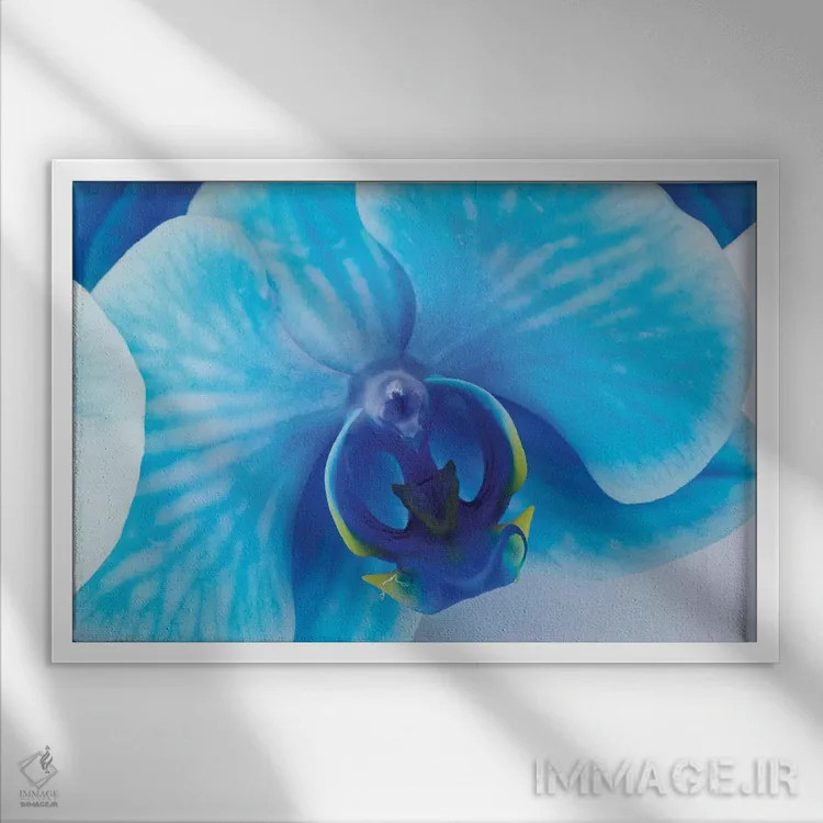 تابلو دکوراتیو ارکیده آبی I اثر گلاوکو منهالی - نمای قابدار سفید