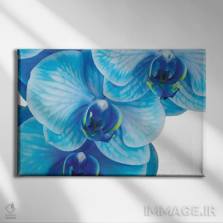 تابلو دکوراتیو ارکیده آبی II اثر گلاوکو منهالی - نمای روبهرو روی دیوار