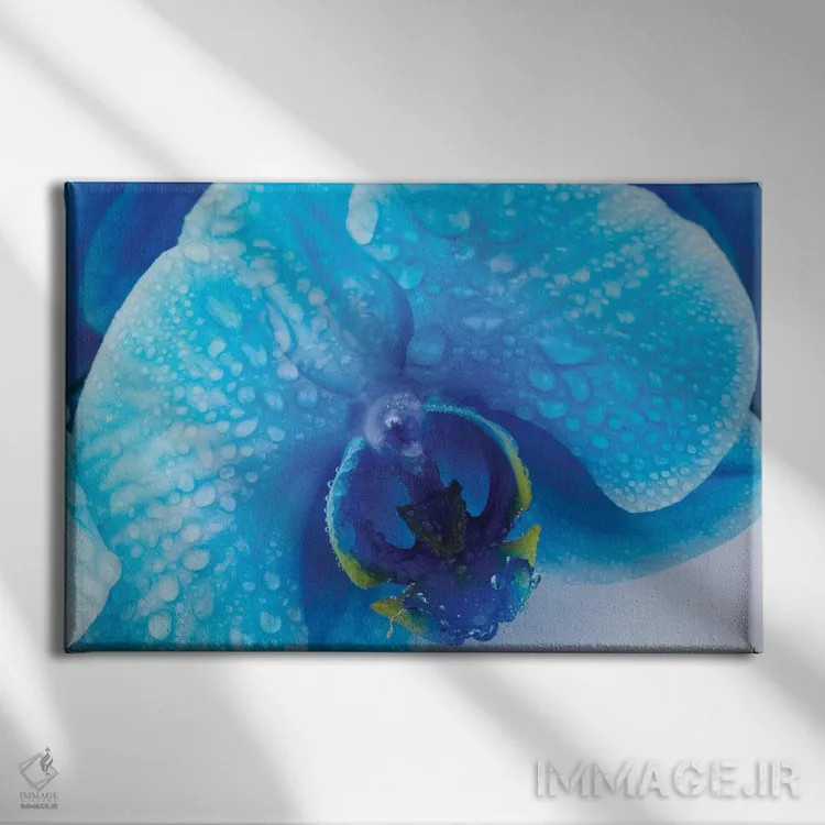 تابلو دکوراتیو ارکیده آبی III اثر گلاوکو منهالی - نمای روبهرو روی دیوار