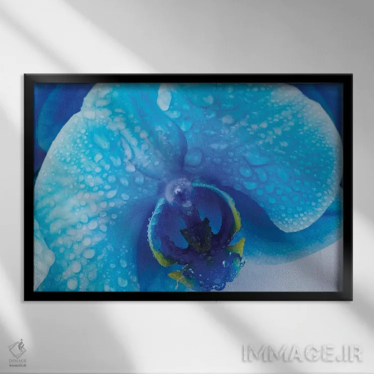 تابلو دکوراتیو ارکیده آبی III اثر گلاوکو منهالی - نمای قابدار مشکی