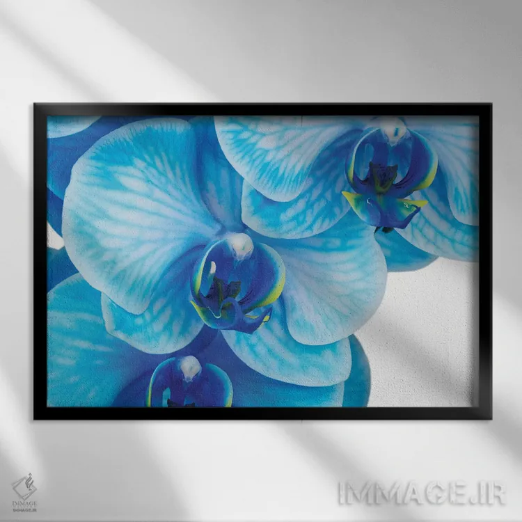 تابلو دکوراتیو ارکیده آبی II اثر گلاوکو منهالی - نمای قابدار مشکی