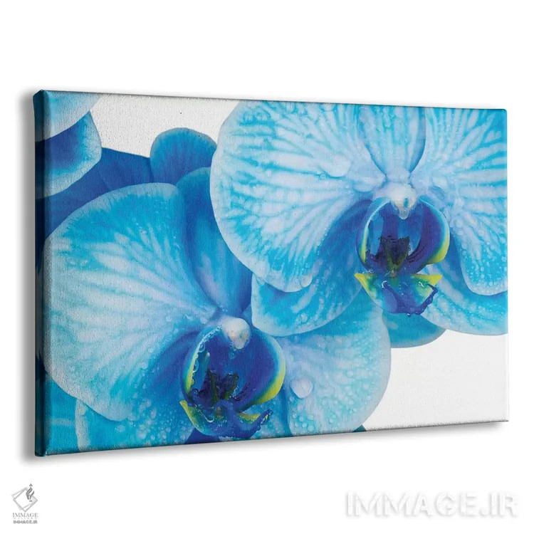 تابلو دکوراتیو ارکیده آبی IV اثر گلاوکو منهالی - نمای پرسپکتیو محصول