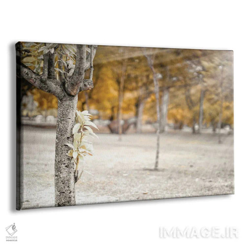 تابلو دکوراتیو درخت پاییزی در پارک اثر گلاوکو منهالی - نمای پرسپکتیو محصول
