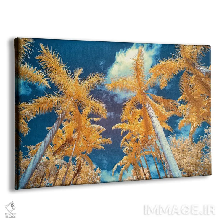 تابلو دکوراتیو درخت نخل I اثر گلاوکو منهالی - نمای پرسپکتیو محصول