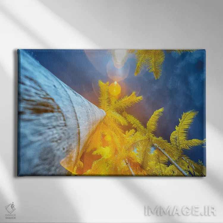 تابلو دکوراتیو درخت نخل II اثر گلاوکو منهالی - نمای روبهرو روی دیوار