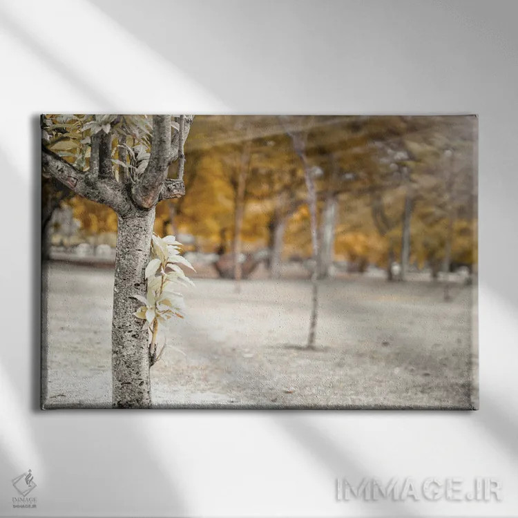 تابلو دکوراتیو درخت پاییزی در پارک اثر گلاوکو منهالی - نمای روبهرو روی دیوار