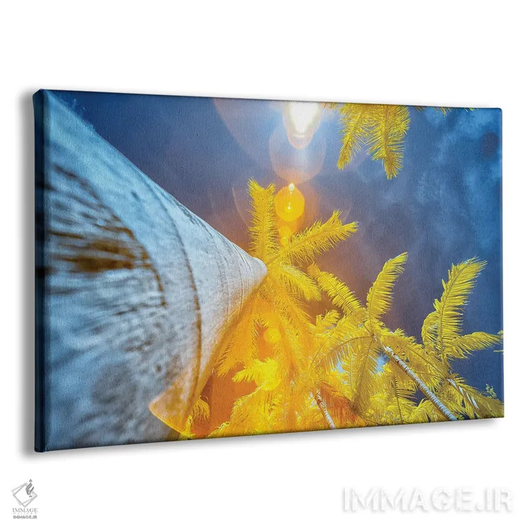تابلو دکوراتیو درخت نخل II اثر گلاوکو منهالی - نمای پرسپکتیو محصول