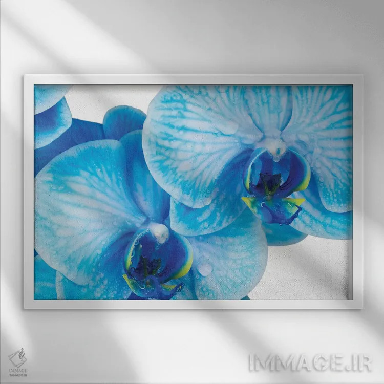 تابلو دکوراتیو ارکیده آبی IV اثر گلاوکو منهالی - نمای قابدار سفید