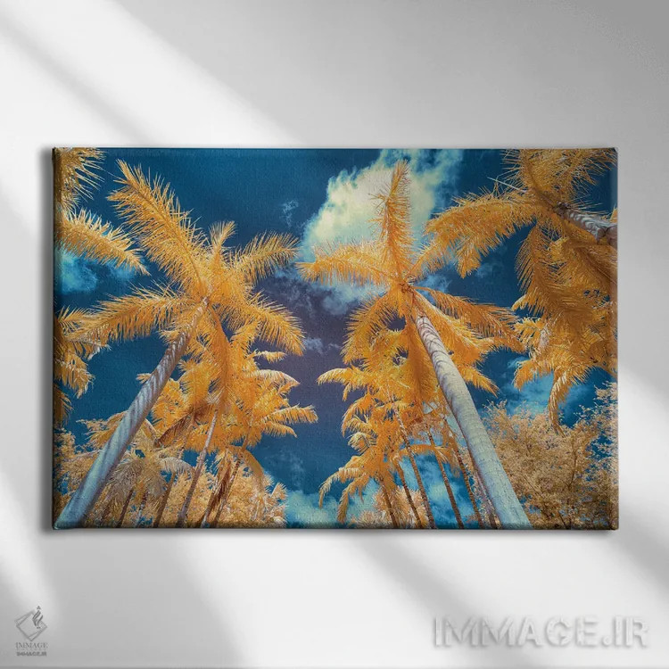 تابلو دکوراتیو درخت نخل I اثر گلاوکو منهالی - نمای روبهرو روی دیوار