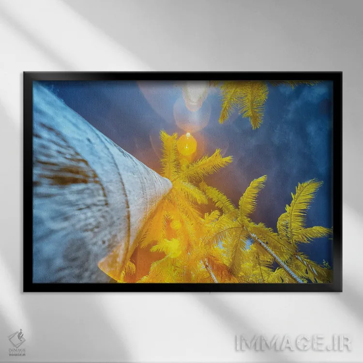 تابلو دکوراتیو درخت نخل II اثر گلاوکو منهالی - نمای قابدار مشکی