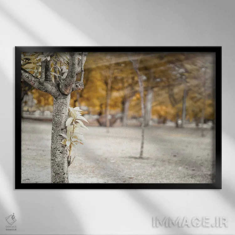 تابلو دکوراتیو درخت پاییزی در پارک اثر گلاوکو منهالی - نمای قابدار مشکی