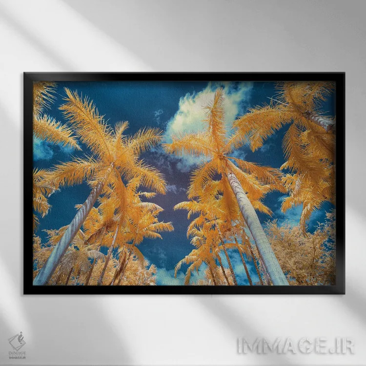 تابلو دکوراتیو درخت نخل I اثر گلاوکو منهالی - نمای قابدار مشکی
