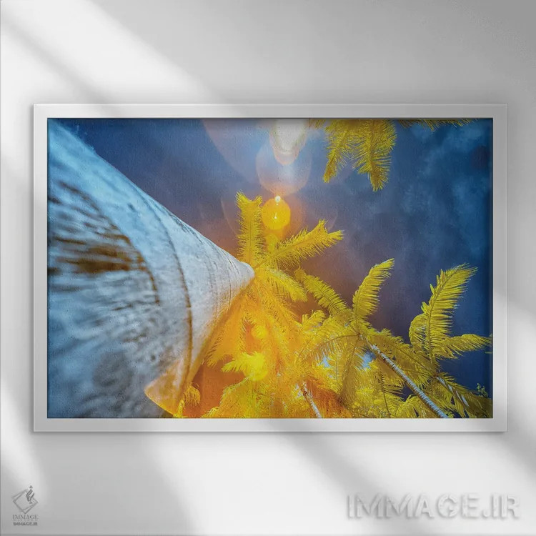 تابلو دکوراتیو درخت نخل II اثر گلاوکو منهالی - نمای قابدار سفید