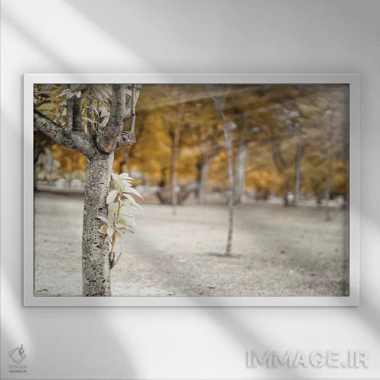 تابلو دکوراتیو درخت پاییزی در پارک اثر گلاوکو منهالی - نمای قابدار سفید