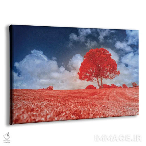 تابلو دکوراتیو درخت قرمز اثر گلاوکو منهالی - نمای پرسپکتیو محصول