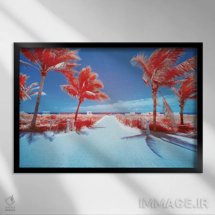 تابلو دکوراتیو درخت نخل III اثر گلاوکو منهالی - نمای قابدار مشکی