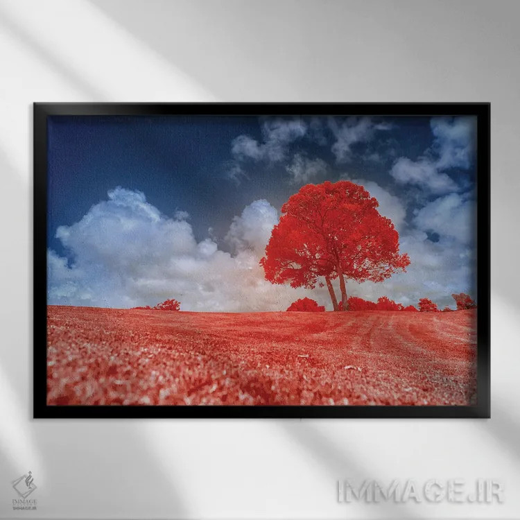 تابلو دکوراتیو درخت قرمز اثر گلاوکو منهالی - نمای قابدار مشکی