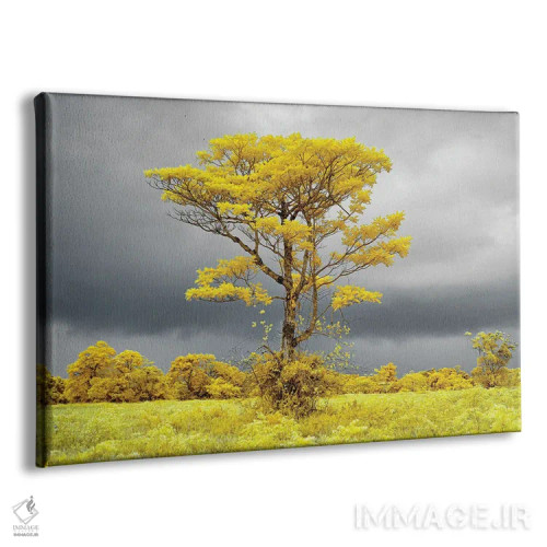 تابلو دکوراتیو درخت تنها در دشت شماره ۲ اثر گلاوکو منهالی - نمای پرسپکتیو محصول