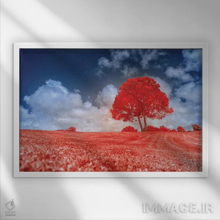 تابلو دکوراتیو درخت قرمز اثر گلاوکو منهالی - نمای قابدار سفید