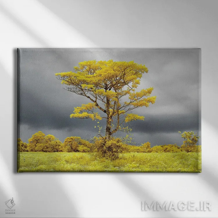 تابلو دکوراتیو درخت تنها در دشت شماره ۲ اثر گلاوکو منهالی - نمای روبهرو روی دیوار