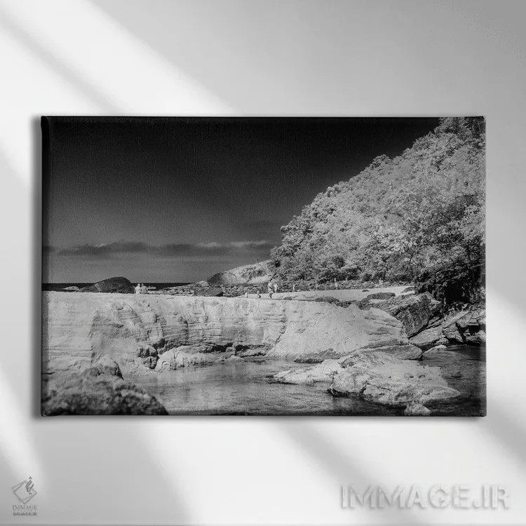 تابلو دکوراتیو کارناواپولیس اثر گلاوکو منهالی - نمای روبهرو روی دیوار