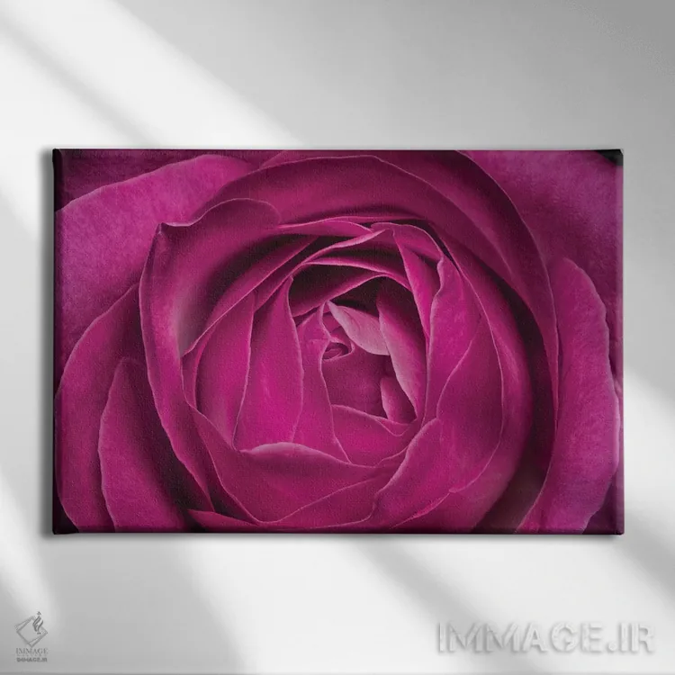 تابلو دکوراتیو گل XXV اثر گلاوکو منهالی - نمای روبهرو روی دیوار