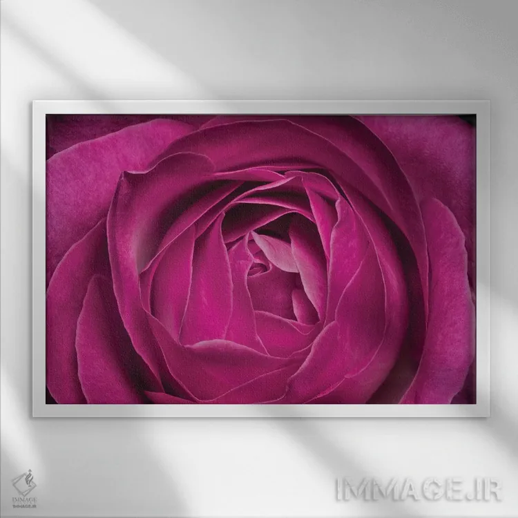 تابلو دکوراتیو گل XXV اثر گلاوکو منهالی - نمای قابدار سفید