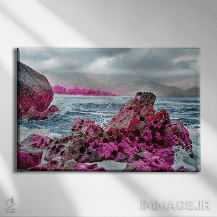 تابلو دکوراتیو کل نگر اثر گلاوکو منهالی - نمای روبهرو روی دیوار