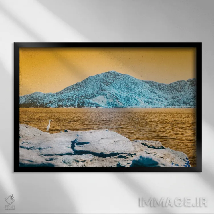 تابلو دکوراتیو نظر به موقع اثر گلاوکو منهالی - نمای قابدار مشکی