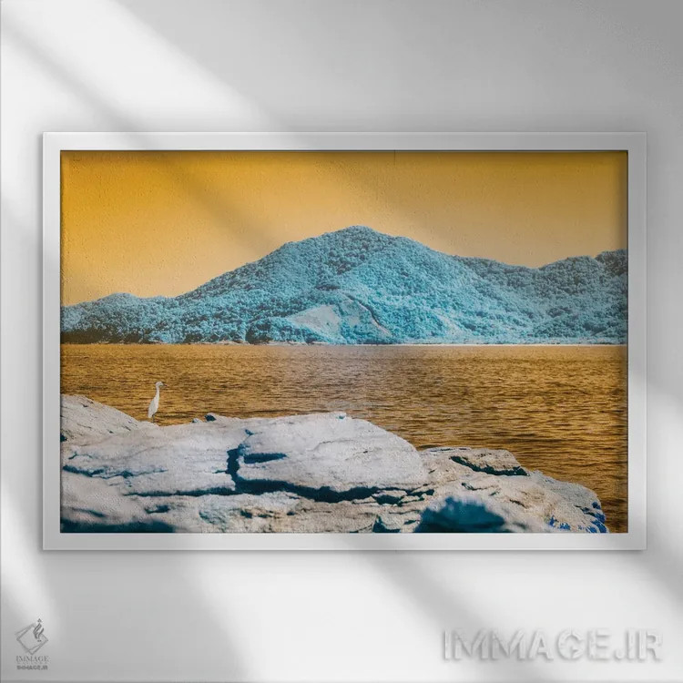 تابلو دکوراتیو نظر به موقع اثر گلاوکو منهالی - نمای قابدار سفید