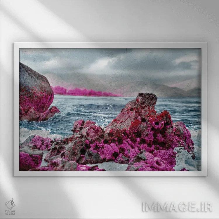 تابلو دکوراتیو کل نگر اثر گلاوکو منهالی - نمای قابدار سفید