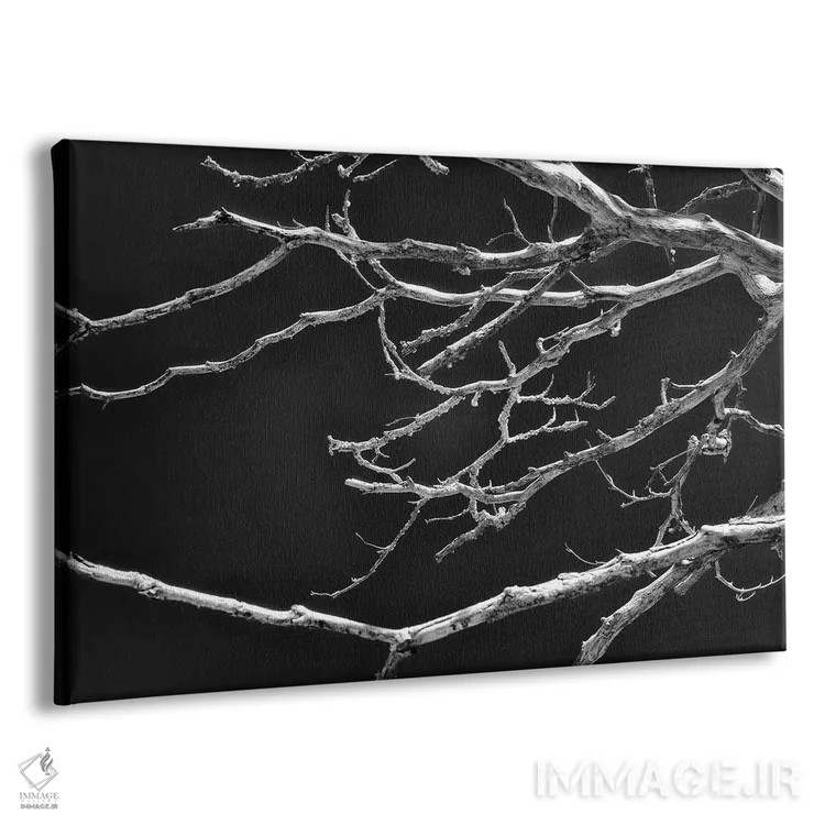 تابلو دکوراتیو هماهنگی شکننده اثر گلاوکو منهالی - نمای پرسپکتیو محصول