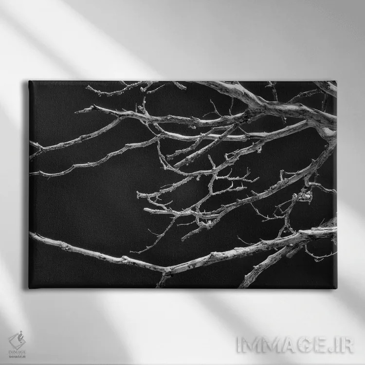 تابلو دکوراتیو هماهنگی شکننده اثر گلاوکو منهالی - نمای روبهرو روی دیوار