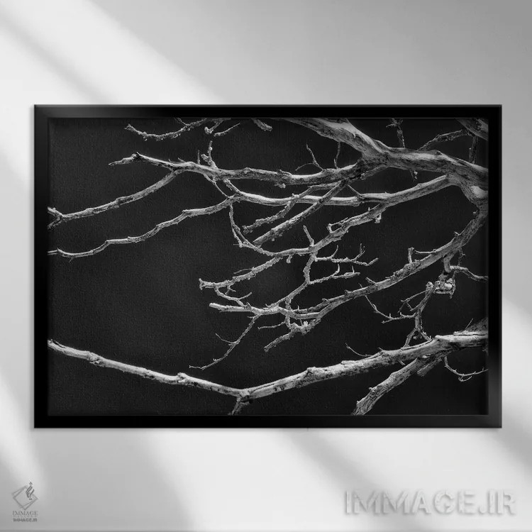 تابلو دکوراتیو هماهنگی شکننده اثر گلاوکو منهالی - نمای قابدار مشکی