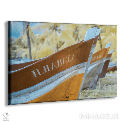 تابلو دکوراتیو ایلا بلا اثر گلاوکو منهالی - نمای پرسپکتیو محصول