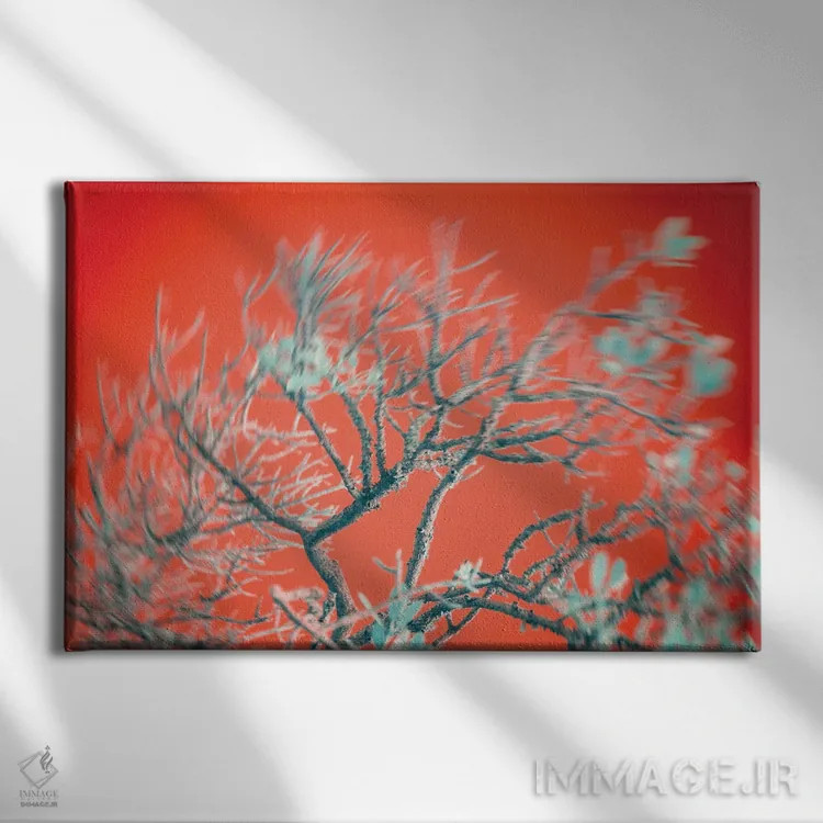 تابلو دکوراتیو تسلیم تحریک آمیز اثر گلاوکو منهالی - نمای روبهرو روی دیوار