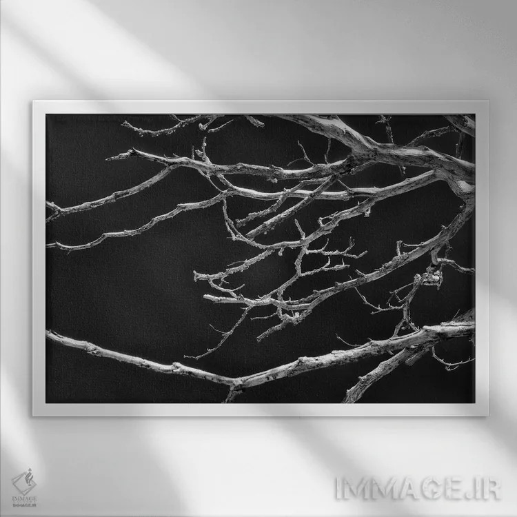 تابلو دکوراتیو هماهنگی شکننده اثر گلاوکو منهالی - نمای قابدار سفید