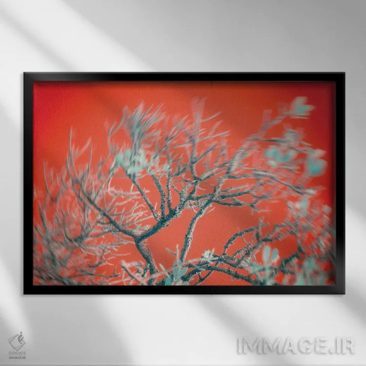 تابلو دکوراتیو تسلیم تحریک آمیز اثر گلاوکو منهالی - نمای قابدار مشکی