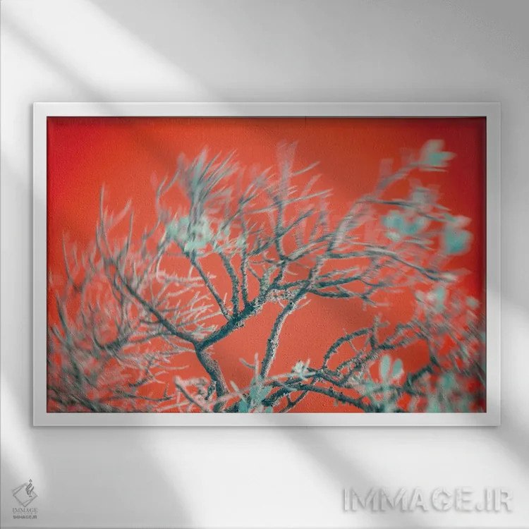 تابلو دکوراتیو تسلیم تحریک آمیز اثر گلاوکو منهالی - نمای قابدار سفید